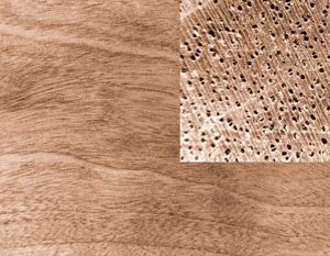 Методы заполнения пор: сравнение порозаполнителей