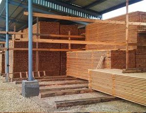 Способы обработки и сушки древесины с высокой начальной влажностью в условиях небольшой мастерской