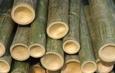 Свойства бамбуковой древесины и особенности работы с ней