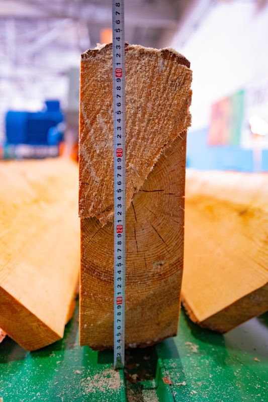 Промышленный двухвальный брусующий станок «ТРИУМФ» 16П480 Classic