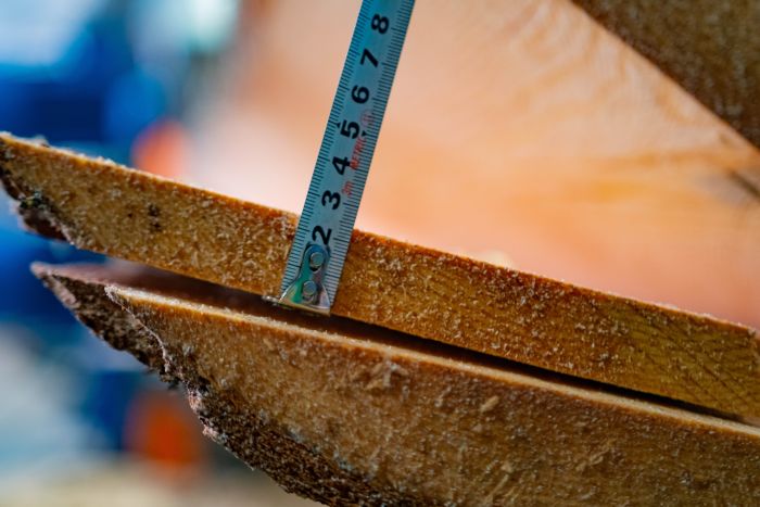 Промышленный двухвальный брусующий станок «ТРИУМФ» 16П480 Classic